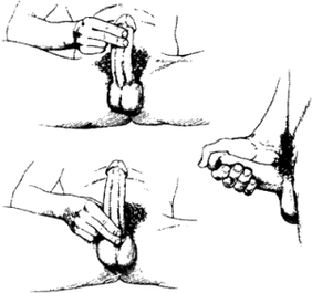 Masturbation und Massage zur Penisvergrößerung